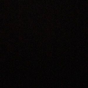 Meet your Posher, Isabella